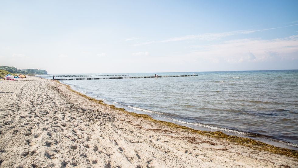 Ideale Surf- und Kitebedingungen auf der Insel Poel